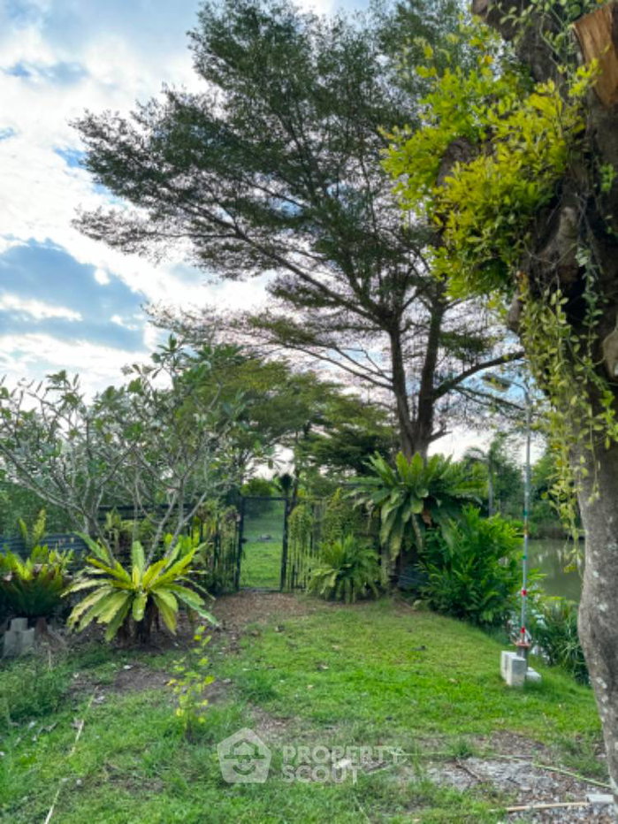 รูป บ้านเดี่ยว 4 ห้องนอน ขนาด 1,600 ตร.ม. ขายย่านสามวาตะวันออก เขตคลองสามวา (ID 1470862) - รูปที่ 3/9