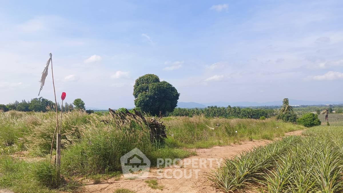 รูป ที่ดินขาย พร้อมอยู่แบบเลี้ยงสัตว์ได้ ในวังโพรง ปราณบุรี ประจวบคีรีขันธ์ (ID 1936990) - รูปที่ 10/12