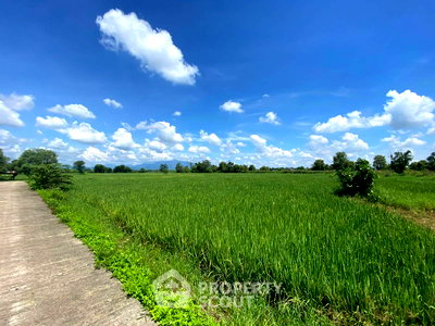Land for sale Chiang Mai : Land For Sale In Khun Khong Hang Dong Chiang Mai (ID 1932178)