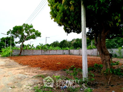 Land for sale Lieb Tang Rodfai : Land For Sale In Pattaya Nong Prue Bang Lamung, Chon Buri (ID 2002754)