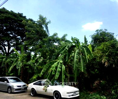 ที่ดิน แอร์พอร์ต ลิงค์ หัวหมาก : ที่ดิน ขาย ในสวนหลวง แขวงสวนหลวง กรุงเทพมหานคร (ID 1908470)