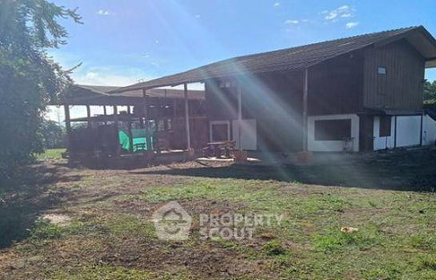 Land For Sale Mae Sun Fang Chiang Mai (ID 1946944)