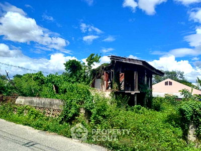 บ้านเดี่ยว เชียงใหม่ : บ้านเดี่ยว 2 ห้องนอน สำหรับขาย ในสันกำแพง เชียงใหม่ (ID 1338321)