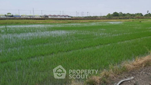 ที่ดินขาย ในแหลมประเทียว ลาดกระบัง กรุงเทพ (ID 1399538)