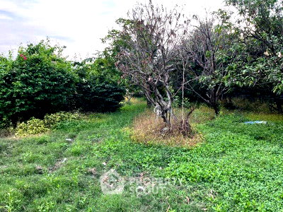 ที่ดิน วิทยาลัยการอาชีพกาญจนาภิเษกหนองจอก : ขายที่ดินทำเลโคกแฝด หนองจอก กรุงเทพมหานคร 📍 (ID 1366313)