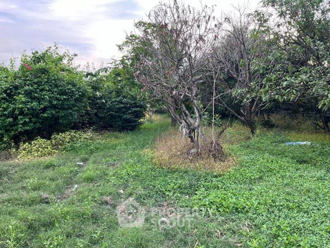 ขายที่ดินทำเลโคกแฝด หนองจอก กรุงเทพมหานคร 📍 (ID 1366313)
