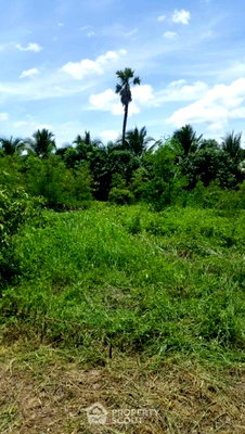 Land for sale Chiang Mai : Land For Sale Near Chiang Mai International Airport, Suthep (ID 1960106)