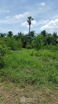 ขายที่ดินใกล้สนามบินนานาชาติเชียงใหม่ สุเทพ เมืองเชียงใหม่ (ID 1960106)