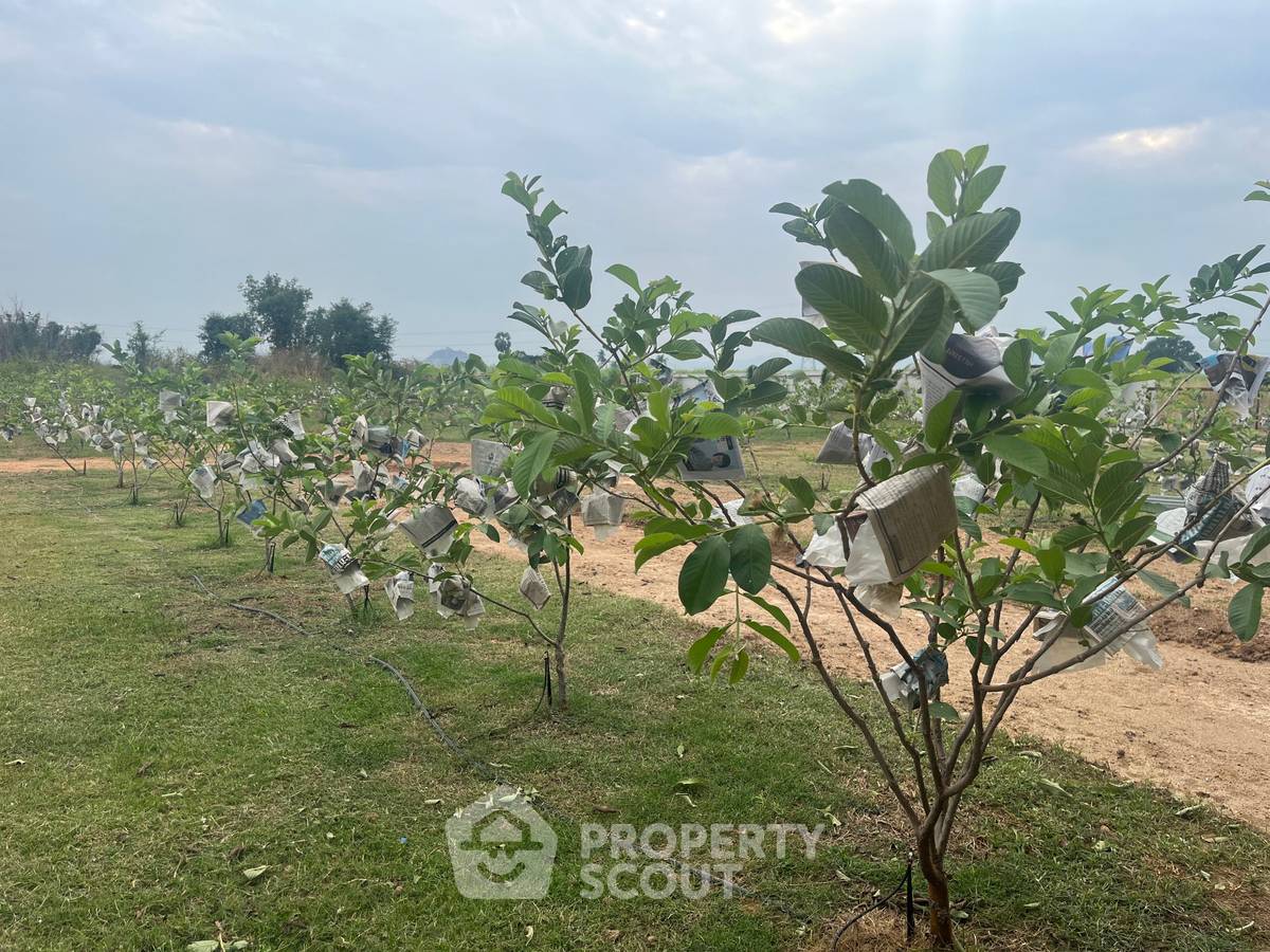 รูป ที่ดินขาย ในวังพง อำเภอปราณบุรี จังหวัดประจวบคีรีขันธ์ (ID 1532197) - รูปที่ 4/4