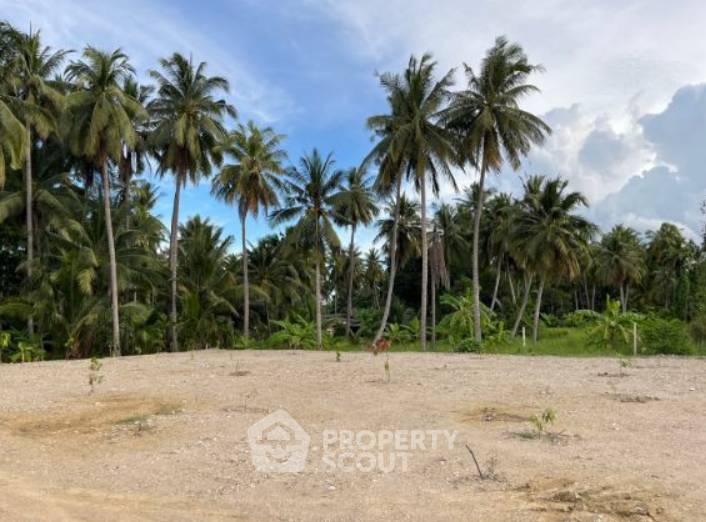 รูป ที่ดินเพื่อขาย ในจังหวัดประจวบคีรีขันธ์ (ID 1943465) - รูปที่ 8/11