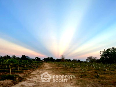 ที่ดิน ปราณบุรี ประจวบคีรีขันธ์ : ที่ดินขาย ในวังพง อำเภอปราณบุรี จังหวัดประจวบคีรีขันธ์ (ID 1532197)