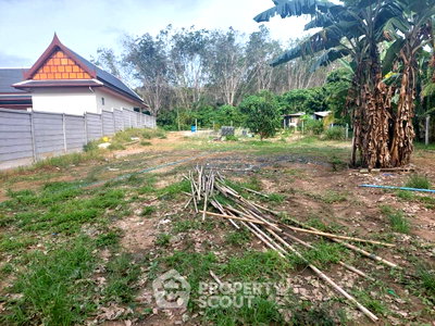 ที่ดิน ถลาง ภูเก็ต : ขายที่ดิน ทำเลศรีสุนทร ถลาง ภูเก็ต (ID 1976607)