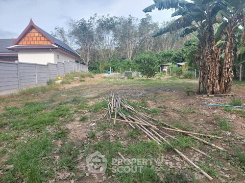 ขายที่ดิน ทำเลศรีสุนทร ถลาง ภูเก็ต (ID 1976607)