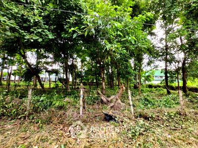 Land for sale Chiang Mai : Land For Sale In Chang Phueak, Mueang Chiang Mai, Chiang Mai (ID 1296723)