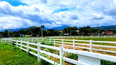 Land for sale Chiang Mai : Land For Sale In Huai Sai, Mae Rim, Chiang Mai 🌿 (ID 1865466)
