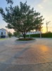 listing thumbnail image 13