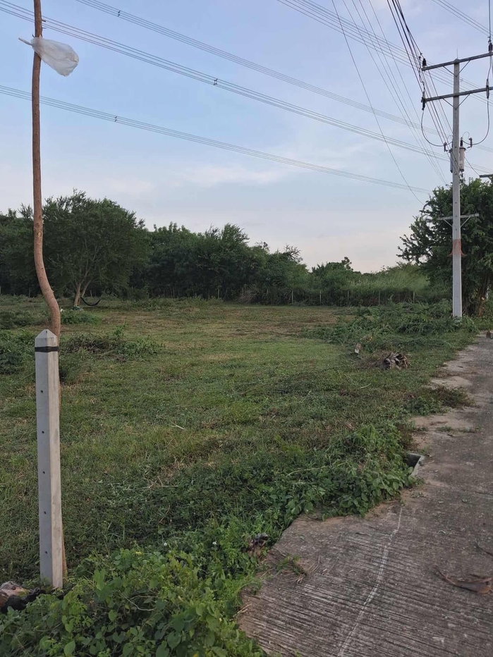 รูป ขาย! ที่ดิน หัวหิน 2 ไร่ 3 งาน (1,100 ตร.ว.) | หินเหล็กไฟ: ซื้อ 1 ไร่ [สร้างบ้านได้เลย] แถมฟรี! พื้นที่ขยายอีก 1.75 ไร่! เจ้าของร้อนเงิน รีบขายด่วน!" - รูปที่ 4/11