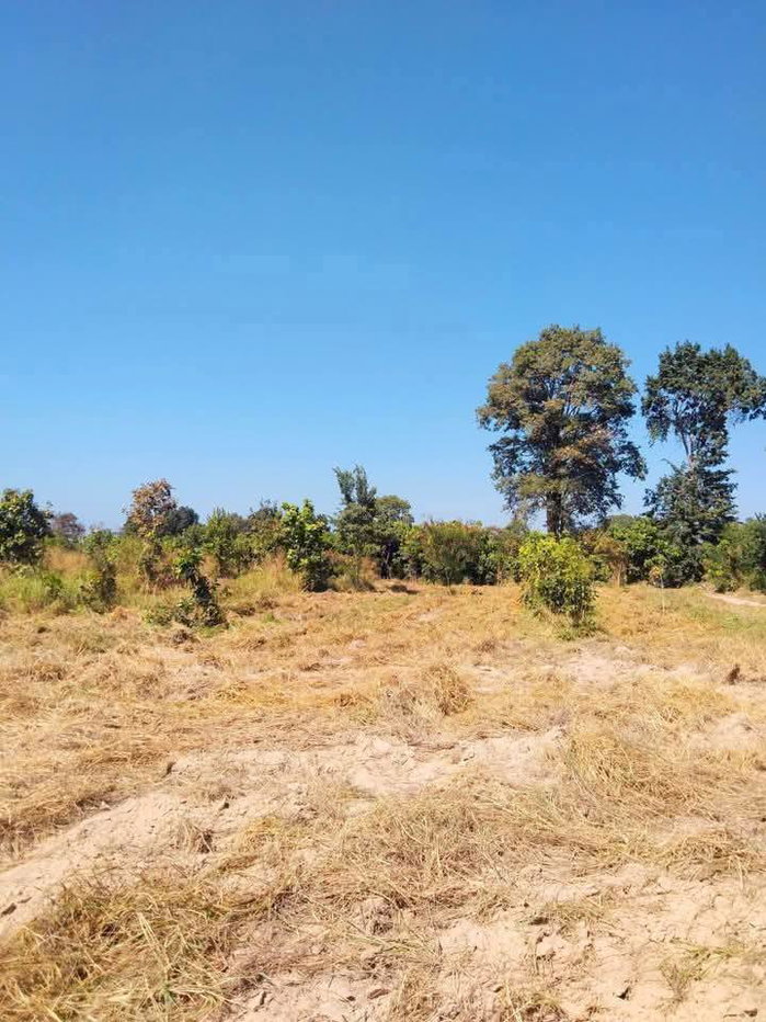 รูป Land for Sale – Khao Talo, Pattaya - รูปที่ 3/8