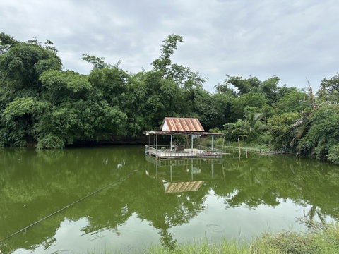 Large Land Plot for Sale in Bangsaray
