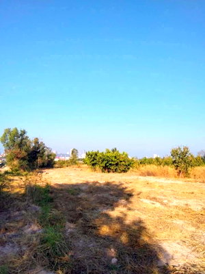 Land for sale Rubberland : Land for Sale – Khao Talo, Pattaya