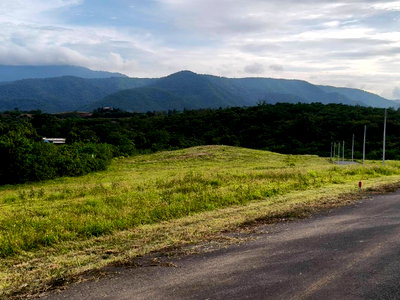 ขายที่ดิน : ขายที่บนเนินเขาใหญ่ โป่งตาลอง ปากช่อง ที่สูงบนเนิน 3.5 ไร่ วิวเขาใหญ่สวย อากาศบริสุทธิ์ ใกล้เส้น 3052 Toscana พระตำหนักทิพย์พิมาน 087-9074045