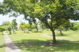 รูป Baan Tipamas Seri - Bang Na - รูปที่ 4/5