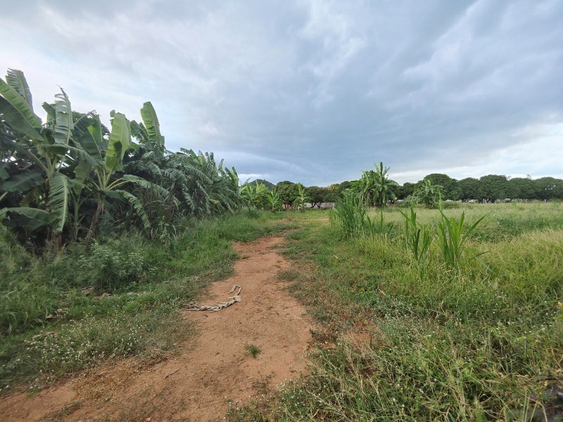 รูป ขายที่ดิน 3-0-0 ไร่  รูปแปลงสี่เหลี่ยมผืนผ้า  วิวภูเขาล้อมรอบสวยงาม!  - รูปที่ 9/11