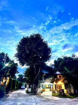 ขายกิจการ : ขายธุรกิจโรงแรม พร้อมดำเนินกิจการต่อ ทำเลทอง! จ.น่าน 
