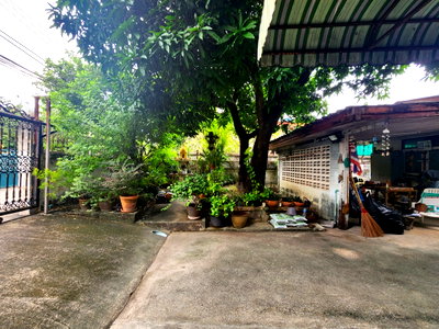 บ้านเดี่ยว วิทยาลัยนักบริหาร : 🏡 บ้านเดี่ยวหลังใหญ่ 109 ตรว. ทำเลประชาชื่น–บางซื่อ ใกล้ MRT & ทางด่วน | ราคาหายากมาก!  รหัสทรัพย์ 95346