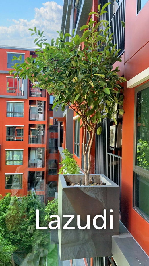 รูป 1 Bed 28 SQ.M The Tree Dindaeng - Ratchaprarop - รูปที่ 14/14