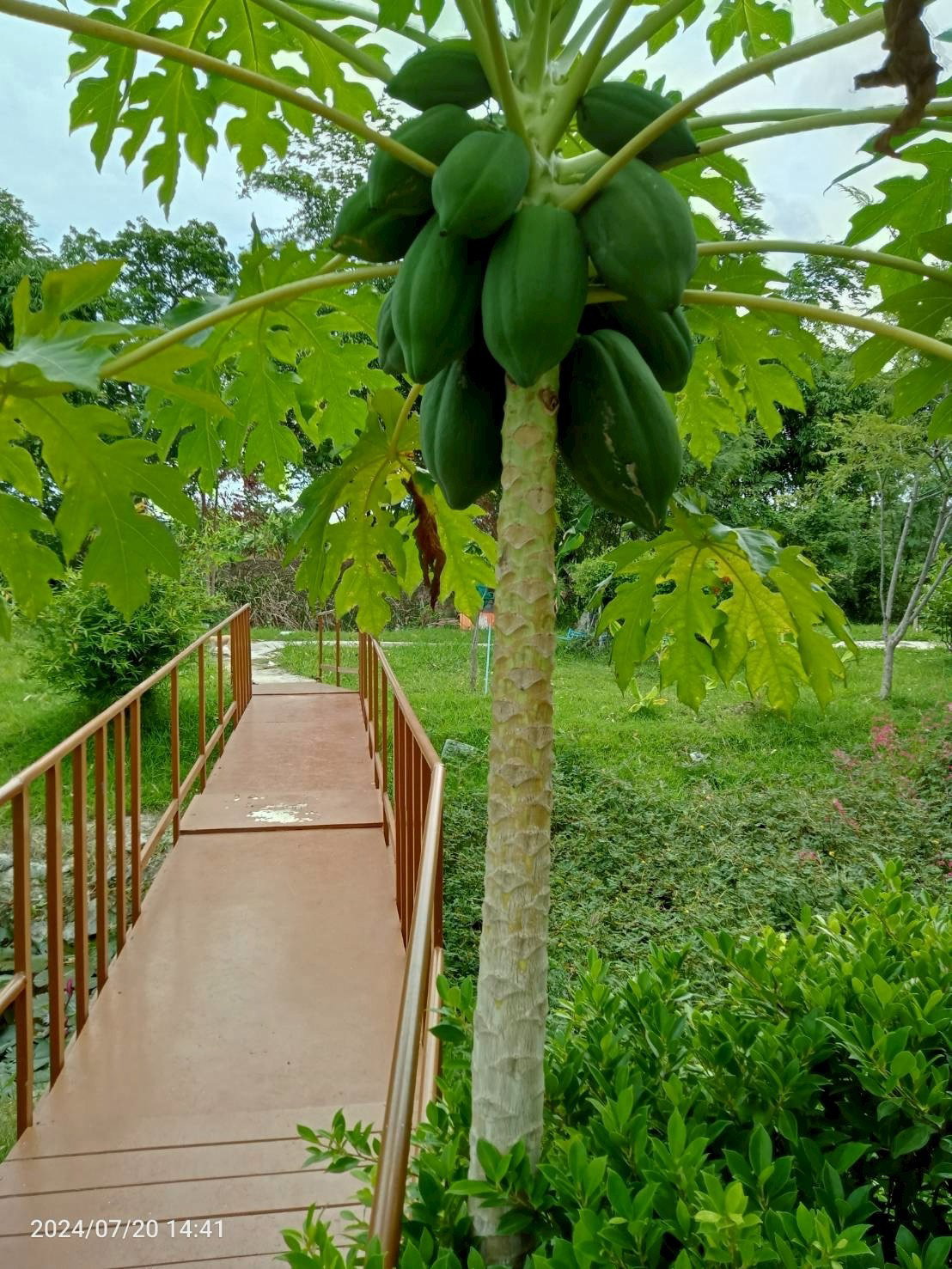 บ้านสวนพร้อมที่ดิน  1 ไร่ 152 ตรว.