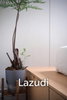 listing thumbnail image 4