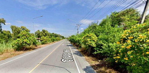 ขายที่ดินระยอง โซนหาดพลา ใกล้สนามบินนานาชาติอู่ตะเภา 