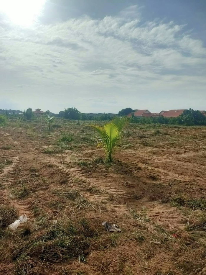 รูป Land for Sale South Pattaya, Soi Thung Klom-Tan Man - รูปที่ 2/4