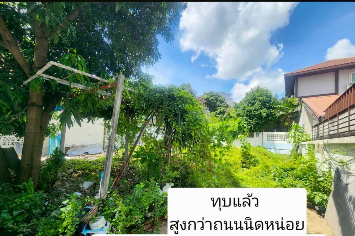 รูป 074GNT ที่ดินเปล่า ปุณณวิถี 36 / วชิรธรรมสาธิต 27 59 ตร.ว. ทำเลดี หายาก - รูปที่ 5/6