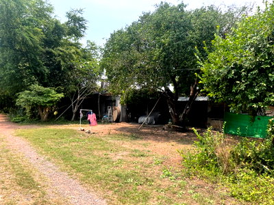 Land for sale King Mongkut s University of Technology North Bangkok Prachin Buri Campus : Beautiful Land for sale prime location,  Prachinburi, 50 rai