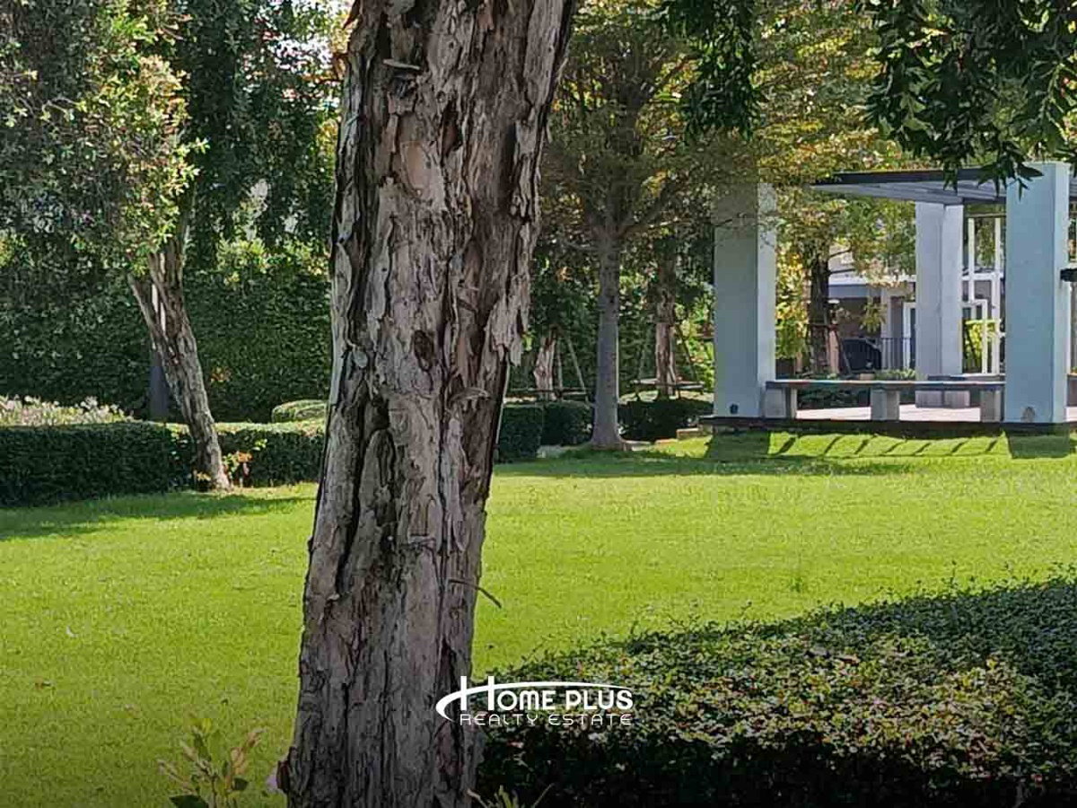รูป บ้านเดี่ยว 2 ชั้น เดอะ แพลนท์ เทพารักษ์ (The Plant Thepharak) - รูปที่ 14/18