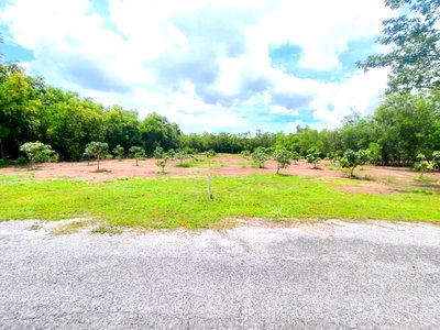 Land for sale : Beautiful Land for Sale – 2 Rai 6 sq.wah in Country Garden Project, Only 3 km. from Wat Phra Dhammakaya