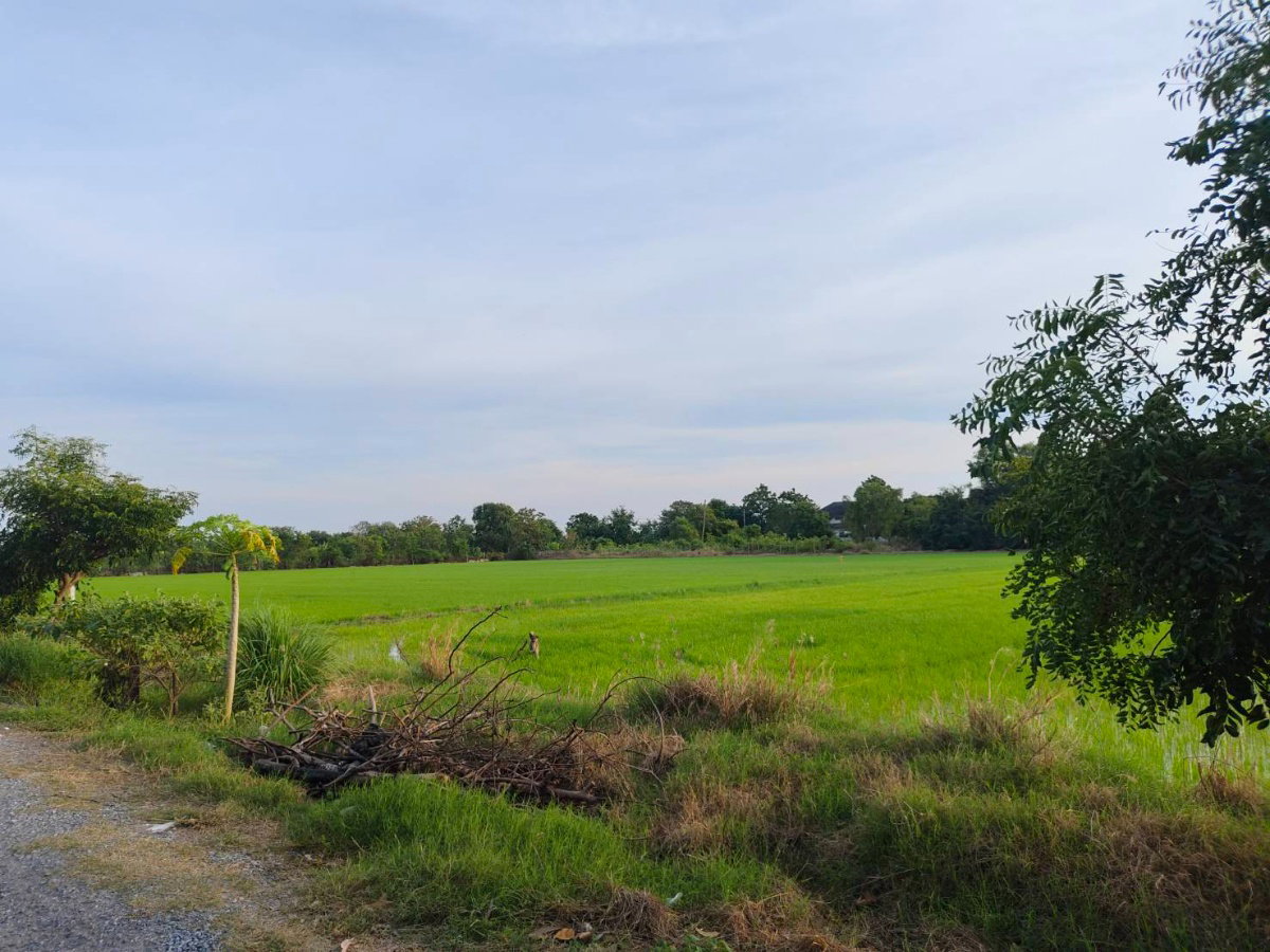 ขายที่ดิน ทำเลดี ลาดหลุมแก้ว ใกล้ถนน 346 เพียง 2.7 กม.-เนื้อที่ 12 ไร่ 3 งาน 87.7 วา2