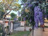 listing thumbnail image 20
