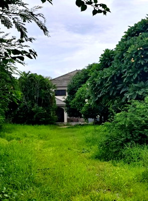บ้านเดี่ยว เมืองสมุทรปราการ สมุทรปราการ : ขายบ้านเดี่ยว พร้อมที่ดิน 379 ตารางวา  แพรกษา สมุทรปราการ/@line chuenjit.j