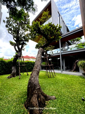 บ้านเดี่ยว ลาดพร้าว 71 : ขายบ้านหรูสร้างนอกโครงการ บ้านใหม่มือ1 ขนาด3ชั้น ในซอยนาคนิวาส ใกล้ Central East Ville มีลิฟต์ สระว่ายน้ำ ตกแต่งพร้อมอยู่ค่ะ ✨🌿