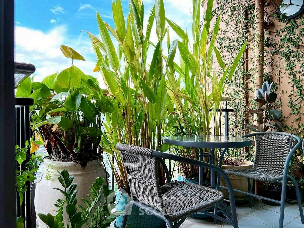 รูป คอนโด 1 ห้องนอน ชั้น 31 ขนาด 78 ตร.ม. ศุภาลัย มอนเต เวียง เชียงใหม่ (วัดเกต) (ID 2495049) - รูปที่ 9/12