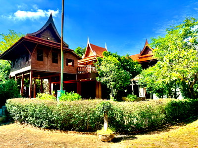 Houses for rent Phra Nakhon Sri Ayutthaya : Traditional Thai-style house for rent by the Chao Phraya River, Mueang District, Ayutthaya.