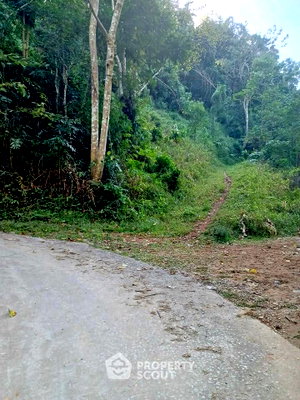 Land for sale Chiang Mai : Land For Sale In Chiang Dao, Chiang Mai (ID 2494919)