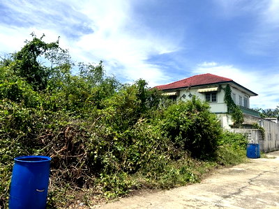 ที่ดิน สวนรุกขชาติกำแพงแสน : ขายที่ดินเปล่า 140 ตร.ว หมู่บ้านกำแพงแสนกรีนแลนด์ นครปฐม ใกล้รพ.อินเตอร์กำแพงแสน