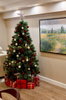 listing thumbnail image 13
