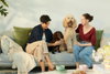 listing thumbnail image 2