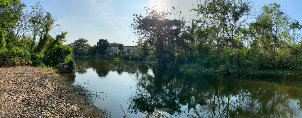 รูป ขายที่ดิน หมู่บ้านเลคการ์เด้นวิลล์ รังสิต คลอง3 ธัญบุรี รังสิต-นครนายก68 พื้นที่ 265 ตรว. ใกล้ฟิวเจอร์ - รูปที่ 3/5