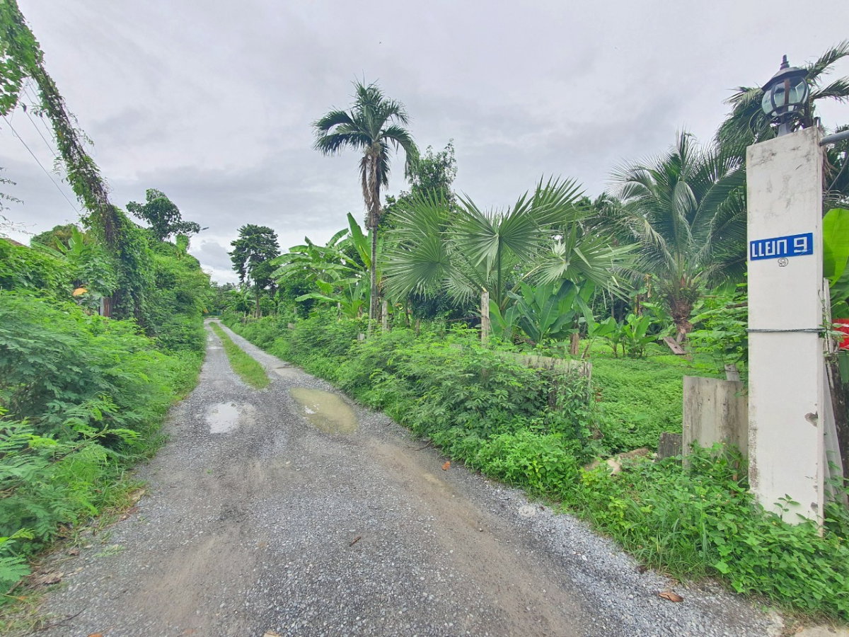 รูป ขายที่ดินแปลงสวย ทำเลทอง จรัญสนิทวงศ์ 31 ใกล้ศิริราช - รูปที่ 2/6